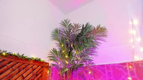 kimberly gonzalez online show from January 11, 2025, 6:45 am