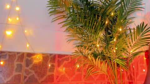 kimberly gonzalez online show from January 17, 2025, 3:45 am