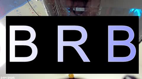 Kimberly 3 online show from January 13, 2025, 12:51 am