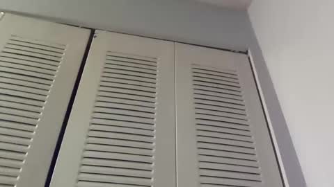 Snapshot of kingbbcfla chatting on March 11, 2025, 12:11 am KING or DADDY online show from March 11, 2025, 12:11 am