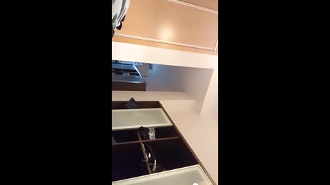 kingnavo online show from November 7, 2025, 5:35 pm