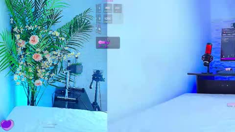    online show from November 12, 2025, 12:11 am