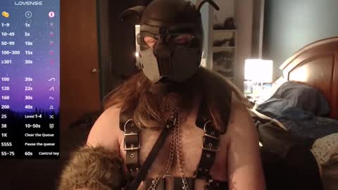 kinkywolf87 online show from January 6, 2025, 6:47 am