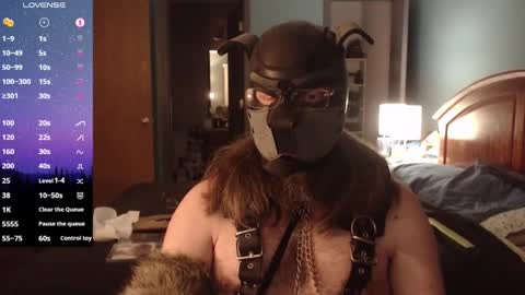 kinkywolf87 online show from January 15, 2025, 1:02 am