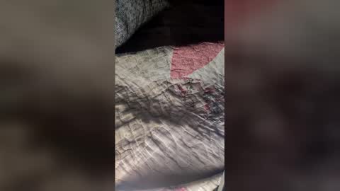 St1r4life online show from March 19, 2026, 10:52 am