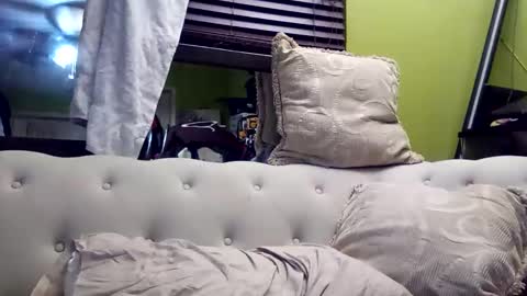 Kishan2525 online show from November 23, 2025, 11:26 pm