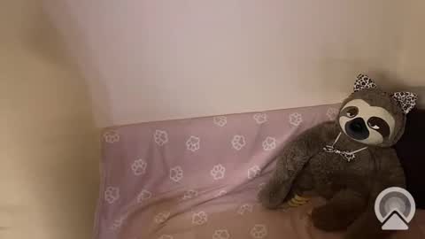 Snapshot of kitiket1 chatting on February 11, 2025, 5:40 pm kitiket1 online show from February 11, 2025, 5:40 pm