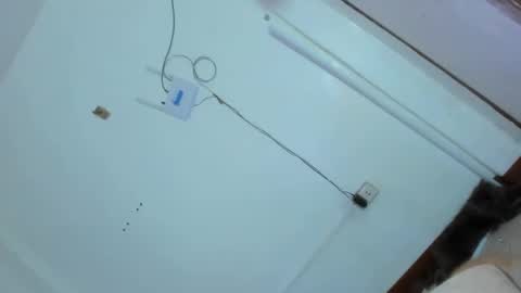Snapshot of kittylickerfucker69 chatting on February 25, 2025, 2:47 am Grace online show from February 25, 2025, 2:47 am