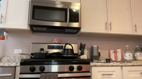 kittypurr79 online show from November 25, 2025, 4:34 am