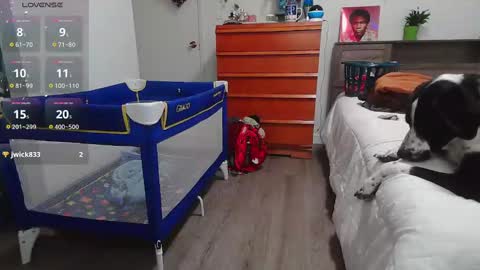 Kittyymaze online show from January 19, 2025, 2:28 pm