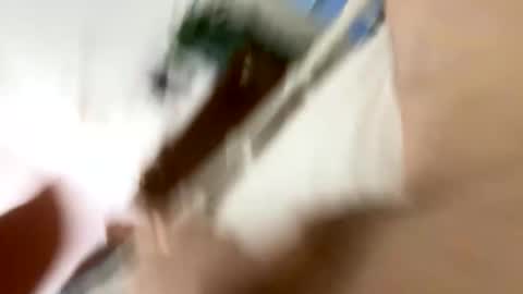 klimt2525 online show from January 12, 2026, 2:11 pm