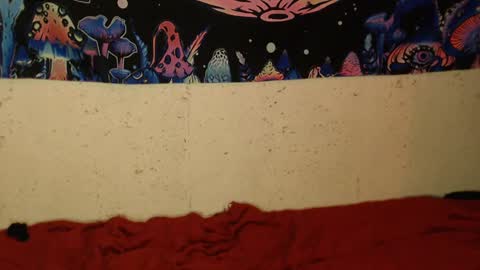 konekokawai online show from February 12, 2025, 1:41 am