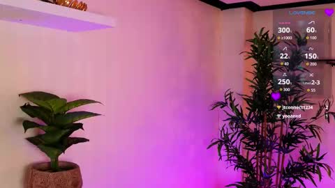 Kore online show from February 1, 2026, 7:34 pm