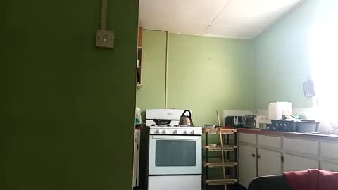 Snapshot of korn4lyfe chatting on March 1, 2025, 1:29 pm Prince makonnen online show from March 1, 2025, 1:29 pm