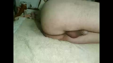 kotek400 online show from December 30, 2024, 8:54 am