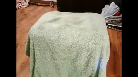 kotek400 online show from January 30, 2025, 8:10 pm