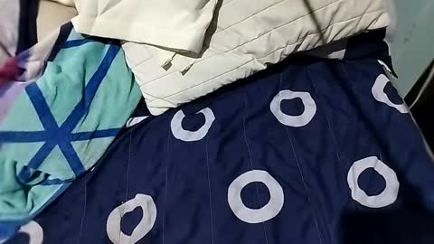 Snapshot of l0c0fundias chatting on September 13, 2025, 7:08 am l0c0fundias online show from September 13, 2025, 7:08 am