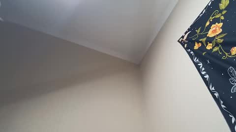 Adonis online show from February 28, 2025, 4:32 am