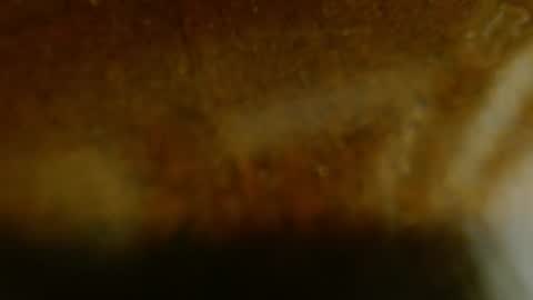 la teaser online show from November 20, 2025, 1:17 am