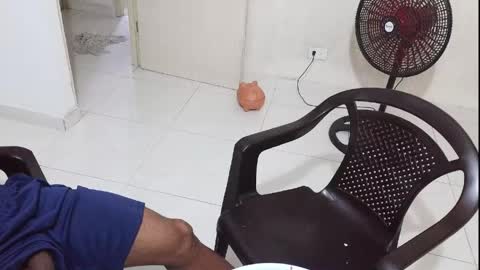 Bruno Smith online show from June 2, 2026, 4:14 am