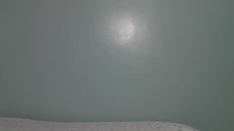 lady_dearra online show from January 17, 2026, 5:45 am