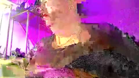 Lady Gloria online show from January 8, 2026, 5:43 am