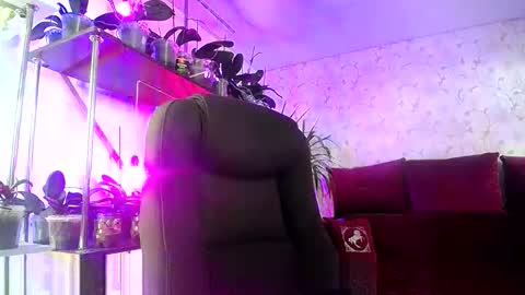 Snapshot of lady_gloria chatting on June 11, 2026, 7:06 am Lady Gloria online show from June 11, 2026, 7:06 am