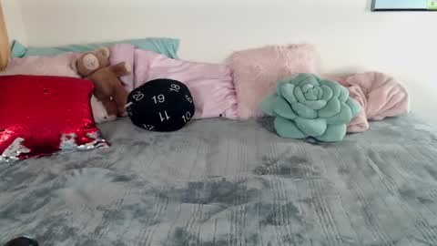 Snapshot of ladyboyhomemaker chatting on March 6, 2025, 8:30 am ladyboyhomemaker online show from March 6, 2025, 8:30 am