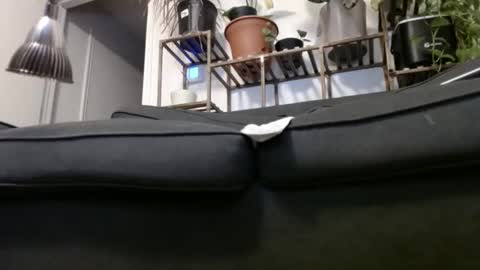 Snapshot of laidback_and_chill chatting on December 23, 2024, 4:33 am Rick online show from December 23, 2024, 4:33 am