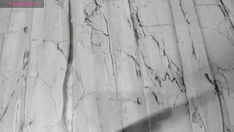 Snapshot of laiilybell chatting on February 24, 2026, 12:25 pm laiily bell online show from February 24, 2026, 12:25 pm