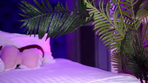 Snapshot of lalaroze chatting on September 13, 2025, 7:13 pm Lala online show from September 13, 2025, 7:13 pm