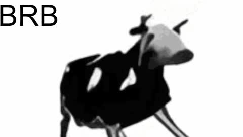 just call me Lana  and her security online show from February 15, 2025, 5:28 pm