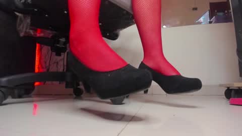  Lari online show from February 9, 2025, 8:54 am