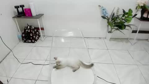 Kendra online show from February 19, 2026, 5:47 am