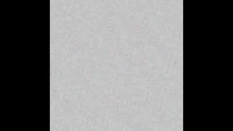 paula online show from January 22, 2025, 4:44 am