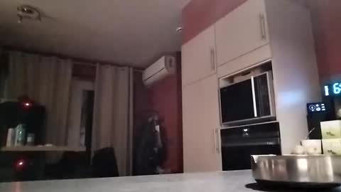 Law online show from December 16, 2025, 5:45 am