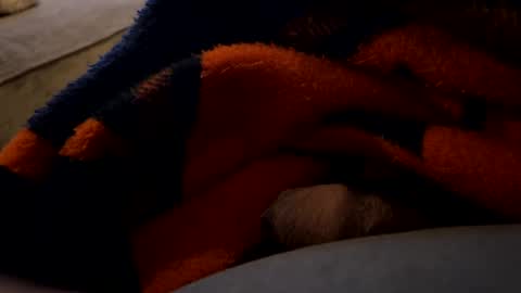 lc6173 online show from December 27, 2024, 1:43 am