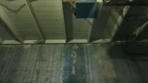 leo199984 online show from March 25, 2026, 2:39 am