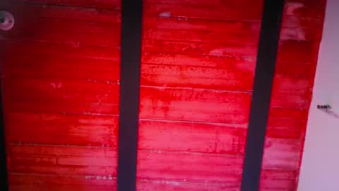 Lenardo jaramillo online show from December 10, 2024, 12:16 pm