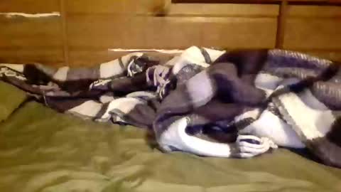 leskator9 online show from November 7, 2025, 9:09 am