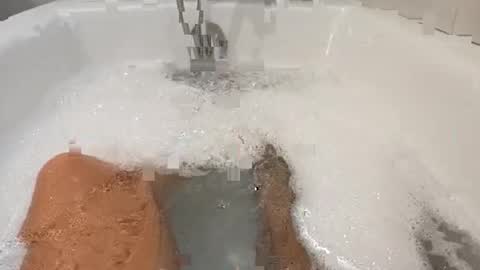 lespampinos online show from January 24, 2025, 12:41 pm