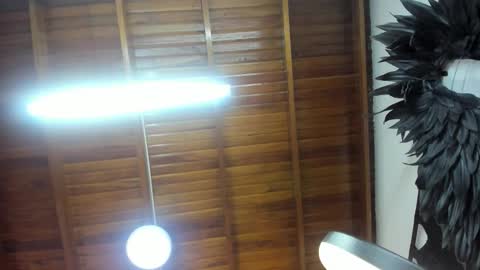 LevySteven online show from November 7, 2025, 5:29 am