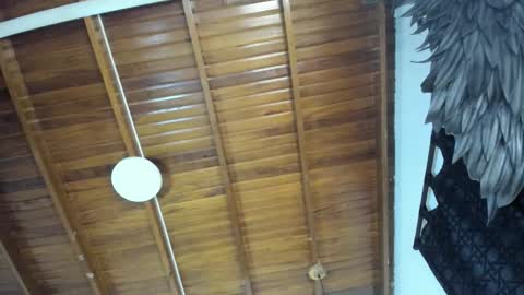 LevySteven online show from November 16, 2025, 10:59 pm