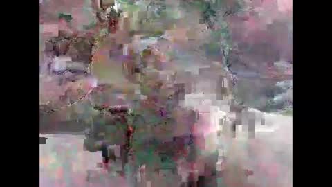 leweylewy online show from November 13, 2025, 11:58 pm