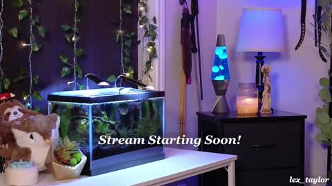 Snapshot of lex_taylor chatting on January 9, 2025, 3:04 am Lex online show from January 9, 2025, 3:04 am