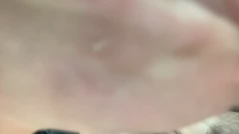 lexiejohnson233 online show from December 2, 2025, 8:59 pm