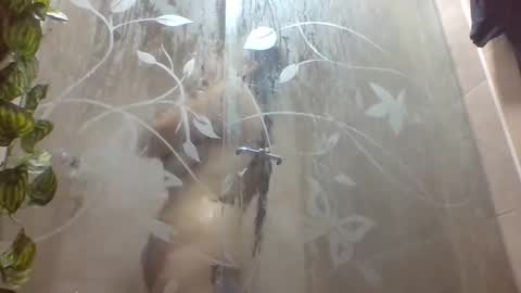 Snapshot of leyla_horny_bg chatting on December 22, 2025, 9:56 pm leyla_horny_bg online show from December 22, 2025, 9:56 pm