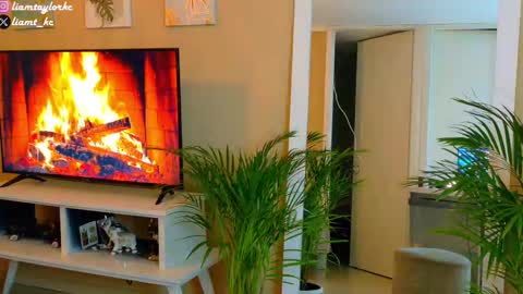 Snapshot of liamtaylor_ chatting on September 30, 2025, 3:55 am Tell me Liam online show from September 30, 2025, 3:55 am