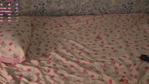 Elena online show from October 14, 2025, 12:50 pm