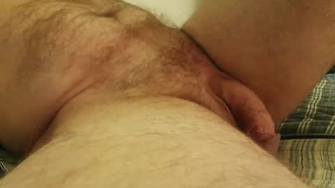 licam online show from October 17, 2025, 2:37 am